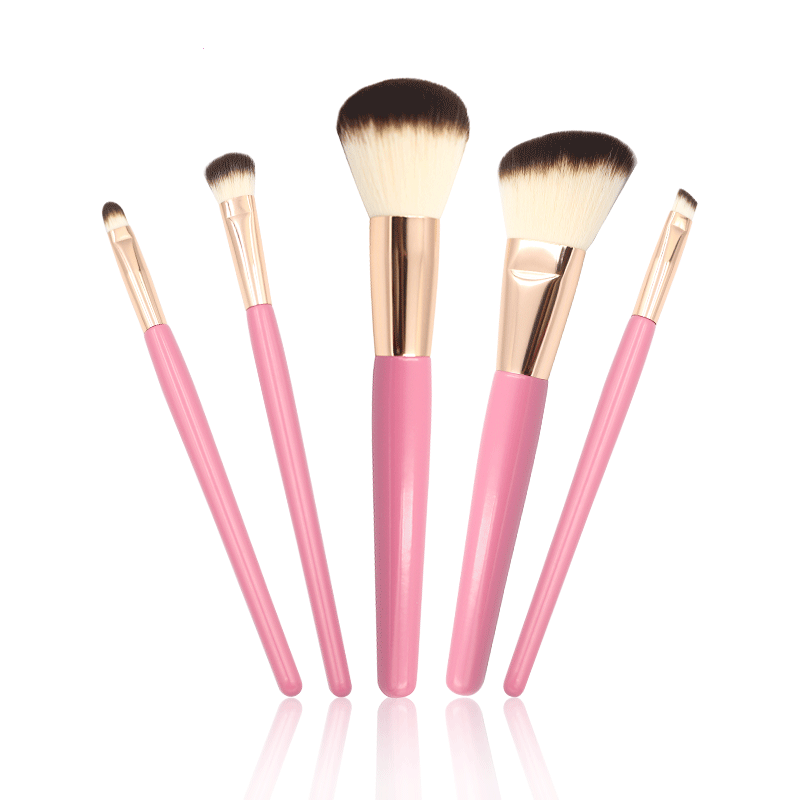 Best practical 5 pcs makeup brush set for beginner